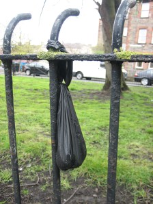 bagged dog poo